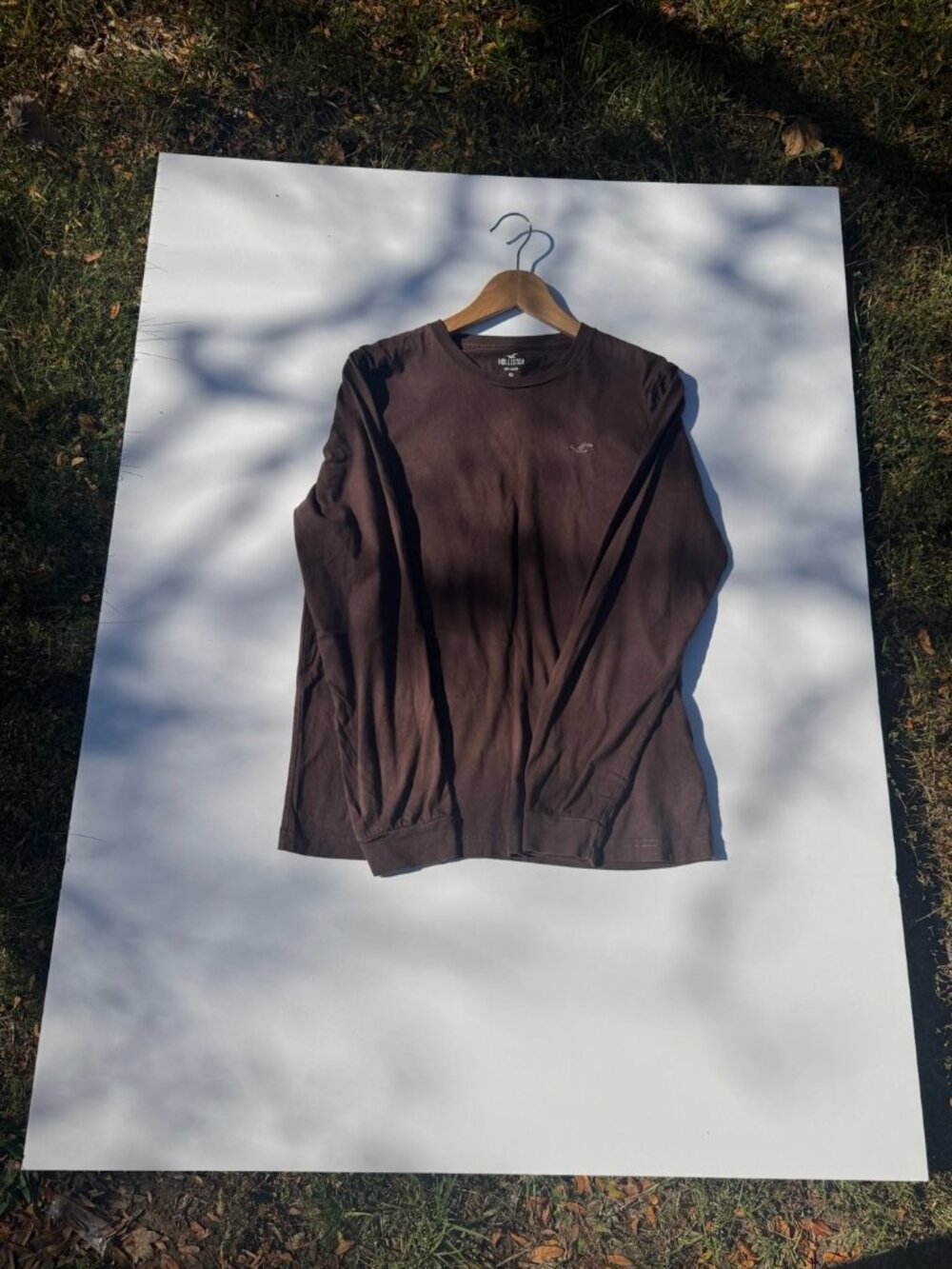Hollister Modern Seagull Logo Long Sleeve T-Shirt